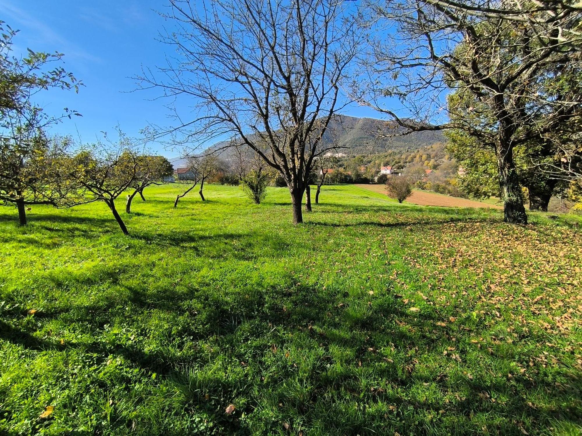 Vir House Daire Nikšić Dış mekan fotoğraf