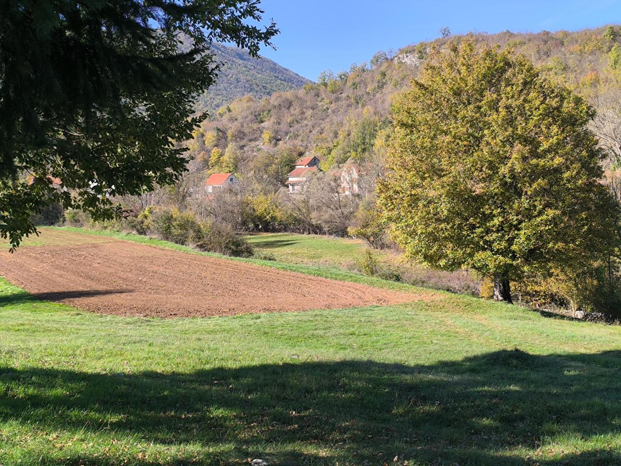 Vir House Daire Nikšić Dış mekan fotoğraf